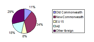 Pie Chart 1